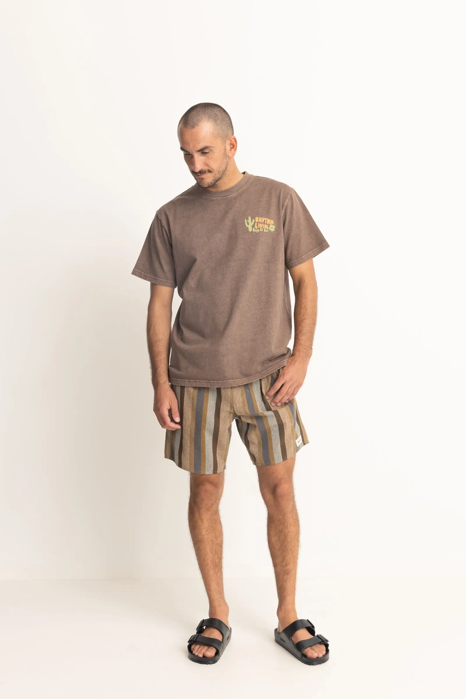 Desert Vintage Ss T Shirt Brown