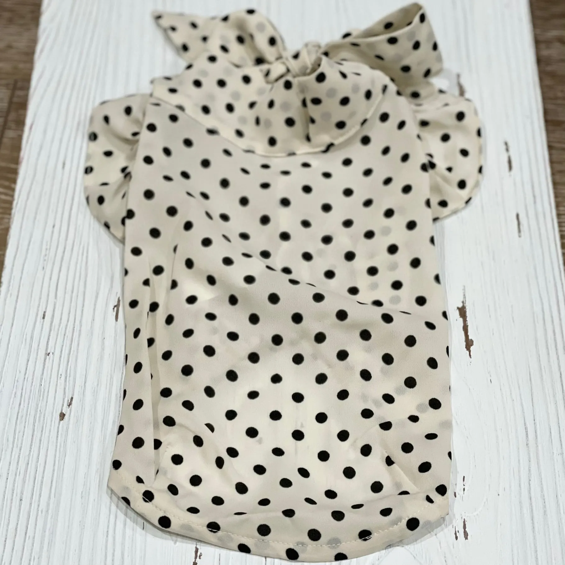 Dressy Polka Dot Blouse