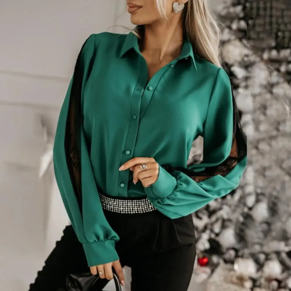 Women Shirt Lace Embroidery Long Sleeve Turn-down Collar Commute Blouse